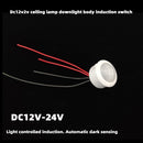DC 12V 24V Wiring Infrared Sensor Ceiling Lamp Human Body Induction Switch Newly