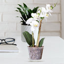 5x Orchid Planting Pots Transparent Seedling Garden Flower Pot (with Base) Newly