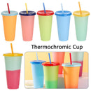 Discoloration Temperature Multicolor Straw Cup Drink Ware Coffee Plastic Cup