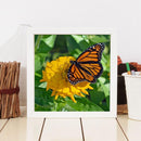 5D DIY Full Drill Diamond Painting Butterfly Embroidery Mosaic Craft Kit