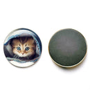 Cat Fridge Magnet Cute Animal Refrigerator Magnets Cabochon Refrigerator I8M8
