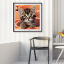 Handmade Full Square Drill 5D Lovely Cat Drawing Kit DIY Diamond Painting C