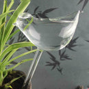 Glass Plant Flowers Water Feeder Self Watering Bird Device*1 Waterer S8O4