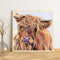 Hand Painted on Canvas DIY Color Cattle Oil Paint By Numbers Drawing Kit Ar