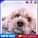 Pet Dog Frameless DIY Oil Paint by Numbers Hand Painting Wall Art Craft