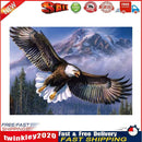 5D DIY Full Drill Diamond Painting Eagle Wings Cross Stitch Kit (30x40cm) Newly