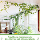 10pcs Plant Fixture Clip Climbing Wall Self-Adhesive Fastener Vine Buckles Newly
