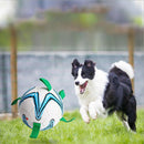 Rubber Dog Football Toys Puppy Chewing Pets Interactive Outdoor Paly Balls Newly