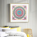 Special Shaped Diamond Painting DIY Mandala Rhinestone Picture (H026) Newly