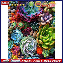 5D DIY Diamond Painting Succulent Full Drill Rhinestone Mosaic Art Picture Kits