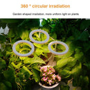 Angel Ring Plant Light Sunlight Phytolamp USB Nursery Lamp (One for Three)