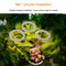 Angel Ring Plant Light Sunlight Phytolamp USB Nursery Lamp (One for Three)