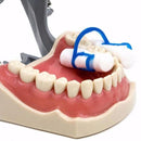 20PCS Blue Disposable Cotton Roll Holder Clip Dental Dentist Clinic Holder~