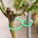 Garden Plant Vine Support Binding Clip Gardening Greenhouse Clip (L 50pcs) Newly