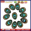 20pcs Peacock Eye Embroidered Cloth Iron On Patch Sew Motif Applique