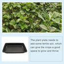 Seed Starter Trays, Planting Seedlings Growing Trays Kit for Vegetable, Flower