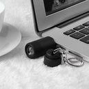 LED Mini Flashlight Portable Key Chain Outdoor Camping Hiking Torch (Black)
