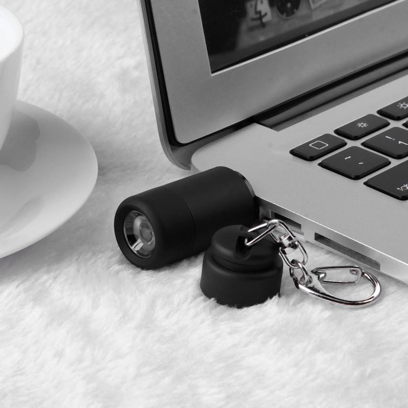 LED Mini Flashlight Portable Key Chain Outdoor Camping Hiking Torch (Black)