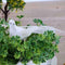 White Doves Feather Artificial Foam Lover Peace Doves S2W0 Bird Home Decor G9K4