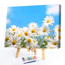 Sky Chrysanthemum Kit Painting By Numbers Oil DIY Hand Painted Canvas Picture