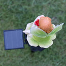 2*Solar Flower Fairy Light Outdoor Pixie Lawn Stake Lamp Garden Decor(Gree)