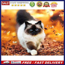 5D DIY Diamond Painting Kits Walking Cat Full Square Drill Wall Crafts Mosa