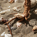 Decoration Driftwood Tree Trunk Fish Tank Driftwood Aquarium Decoration