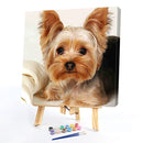 40x40cm Cat Dogs Canvas Painted Oil Paint By Numbers Wall Modern Bedroom Deco