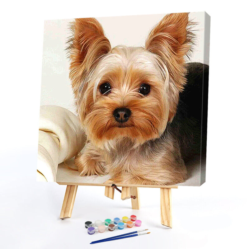 40x40cm Cat Dogs Canvas Painted Oil Paint By Numbers Wall Modern Bedroom Deco