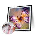 #A Colorful Butterfly Oil Paint By Numbers DIY Frameless Drawing Picture for A