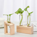 Crystal Glass Test Tube Vase Test Tube Vase Hydroponic Plants Wooden Stand
