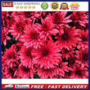 Chrysanthemum 1000pcs Jigsaw Puzzle Adults Children Educational Assembling