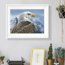 5D DIY Full Drill Diamond Painting Eagle Cross Stitch Embroidery (C1201)