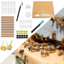 Cover Beekeeping Tool Set Rearing Cup Kit Bees Tools Queen Rearing Kit
