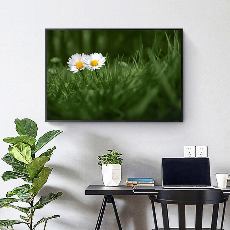 Painting By Numbers Oil Picture Artwork DIY Hand Painted Canvas Meadow Daisy Kit