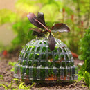 Moss Balls Live Marimo Moss Ball Moss Balls Decorative Moss Ball Moss Balls