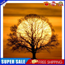 Landscape Tree Under Moon Frameless Oil Paint by Numbers Art Craft (S229)