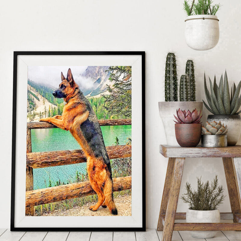 Coloring DIY Digital Oil Painting Dog See the Scenery No Frame Picture By N