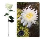 Solar Power Chrysanthemum Ground Light Flower Outdoor Garden Decor (White) Newly