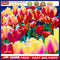 Colorful Flower Oil Paint By Number Kit DIY Drawing Canvas Picture for Adults