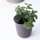 Fertilizer Box Bonsai Grass Breeding Fertilizer Basket Nursery Pots (20pcs)