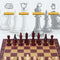 2 in 1 International Chess Checkers Set, Classic Magnetic Chess Pieces Board