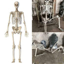 Halloween Props Skeleton Hangings Prop Haunted House HOT~ W2U4 Decoration E6B4