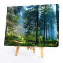 Painting By Numbers Kit DIY Wonderland Hand Painted Canvas Oil Art Picture