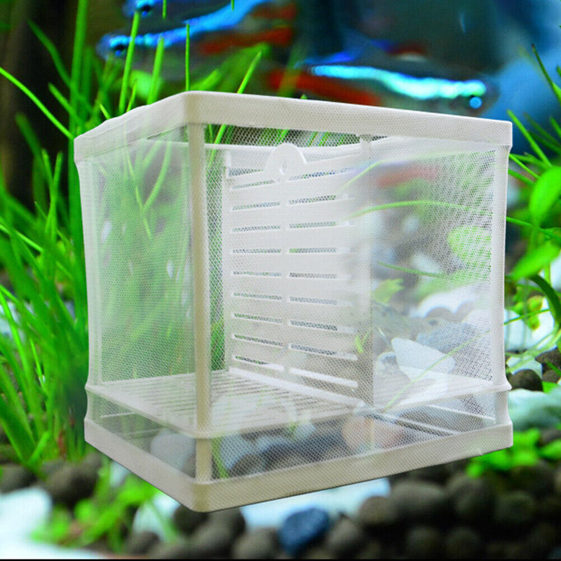Aquarium Guppy Breeding Gauze Trap Box Tank Fish Baby Insulator Incubator Breeder