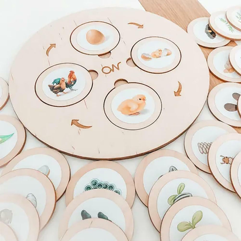 Wooden Life Cycle Board Puzzle Teaching Aids Material Biology Zoology