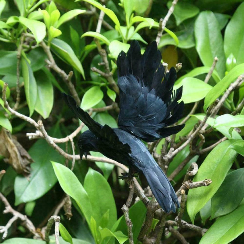 2Pcs Simulation Crow Black Crow Props Feather Birds Home Horror Decor J2Z2