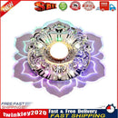 Modern LED Crystal Ceiling Lights Surface Mounted Porch Lamp (Multicolor) Newly