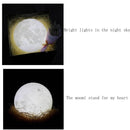 Creative Indoor Ornament Indoor Lighting Luminaires LED Night Light Moon Lamp