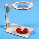Magnifying Glass Montessori Training  Scientific Experiment Education